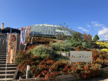 【紹介】フルーツ公園のレストランで調理補助・ホール