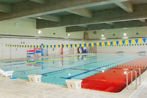 【紹介】スポーツ施設内の温水プール監視員